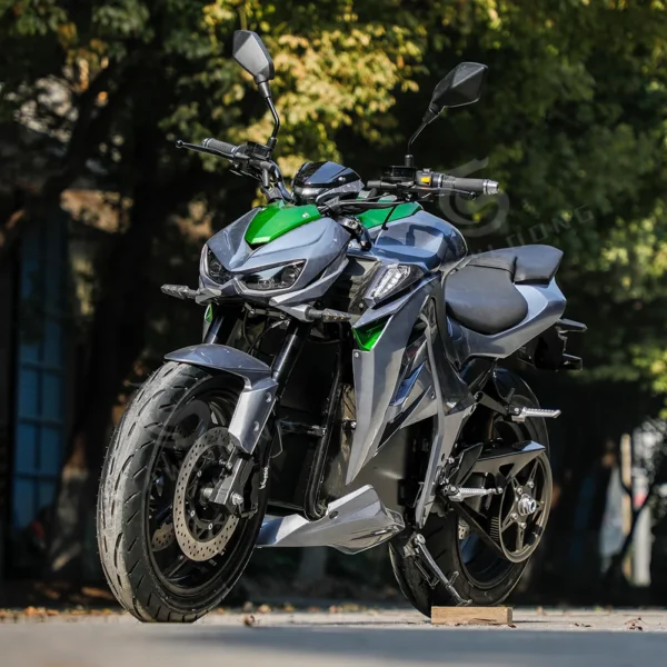 Wholesale High Power Electric Motor Bike 800W 60V Vintage Adult Motorcycle Electric Bike Scooter - Image 3